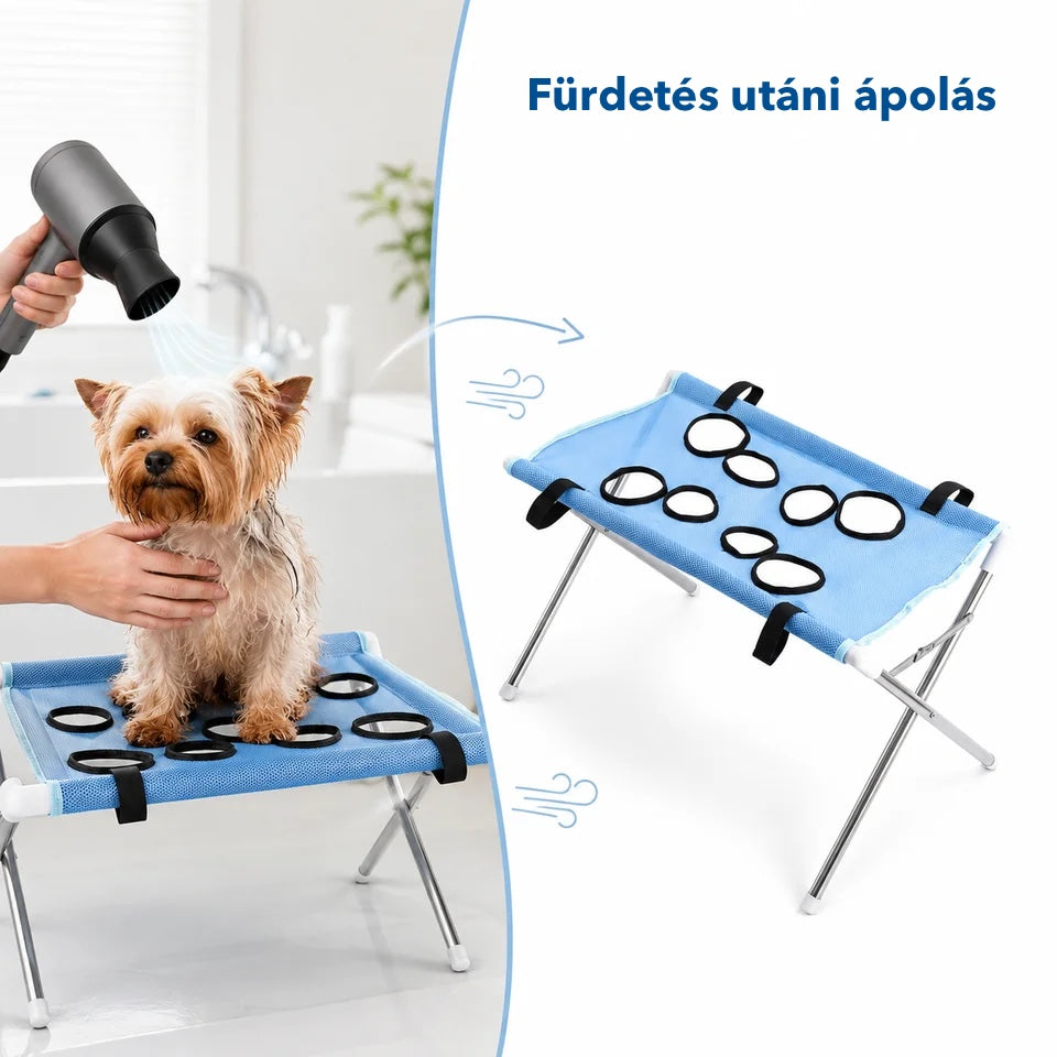 Kutya szárítása a fürdető állványon